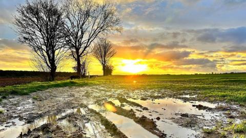 Muddy fields in Woodstock