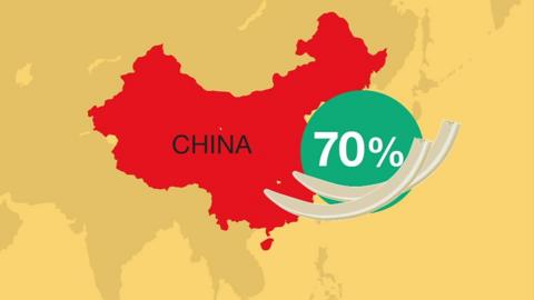 Graphic showing China constitutes 70% of global demand for ivory