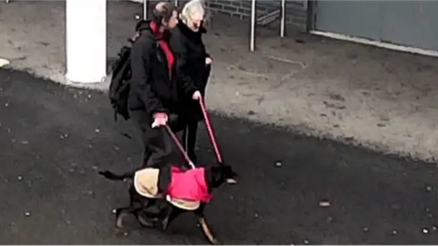 CCTV image of couple walking dog