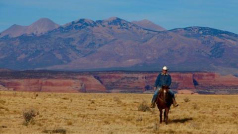 Mr Adams is pictured riding his horse with landscape in background