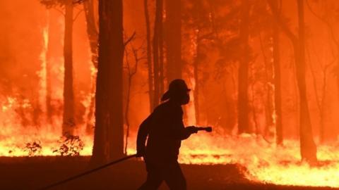 Firefighter near Sydney