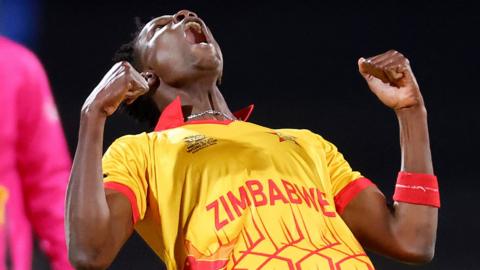 Zimbabwe celebrate a wicket