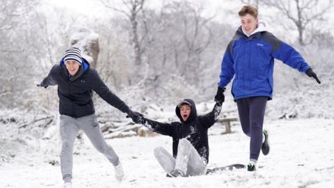 Sledgers in Richmond Park, west London