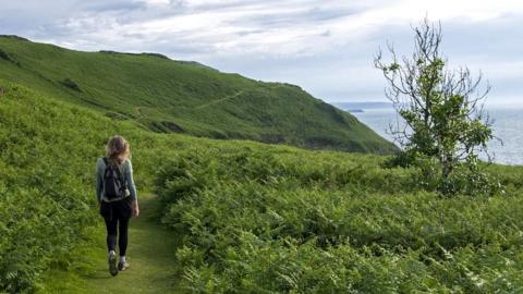 A woman walking away from the camera on the coast path at Cwmtydu