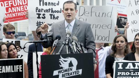 Texas Senator Ted Cruz speaks at a rally against Planned Parenthood in Washington, DC in July.