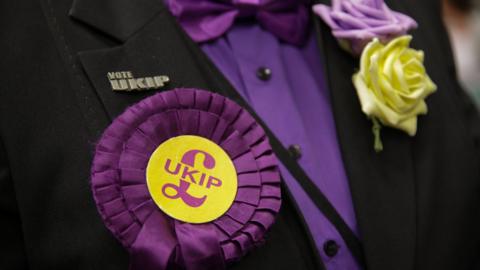 UKIP badge and rosette