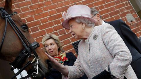 The Queen stroking the nose of a horse during a visit to Newmarket in 2016
