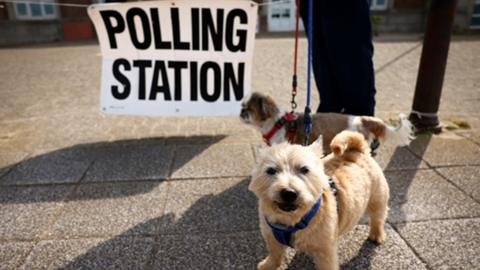 Dog at polling station