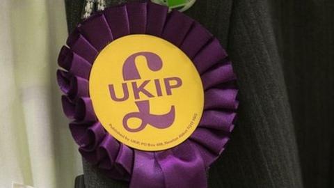 UKIP rosette