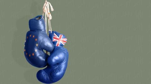 Boxing gloves and Union flag