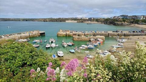 A cloudy sky over a turquoise bay in Cornwall with jetties going out into the water with boats and flowers in the foreground