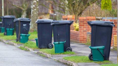 A suburban street with rows of large black wheelie bins and smaller green bins beside them lining the kerbside
