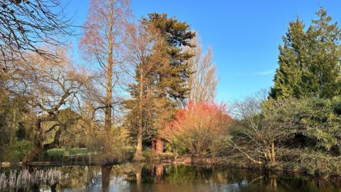 Trees of various colours against a very blue sky with a pond in front