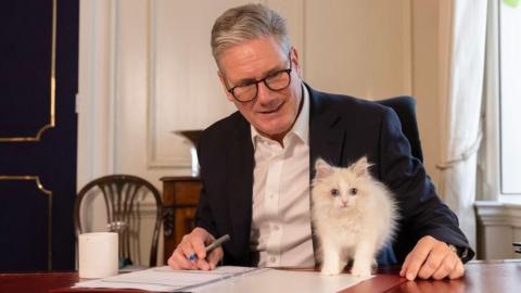 Keir Starmer and Prince the kitten at his desk