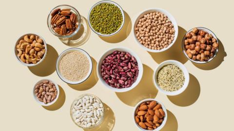 11 bowls of different legumes, beans, nuts, pulses and grains which come with both protein and fibre. Including pecans, cashews, almonds, kidney beans, chickpeas, hazelnuts and quinoa. They are all in white or clear bowls and they sit on a pale yellow background.