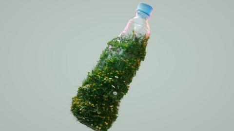 Plastic bottle and grass