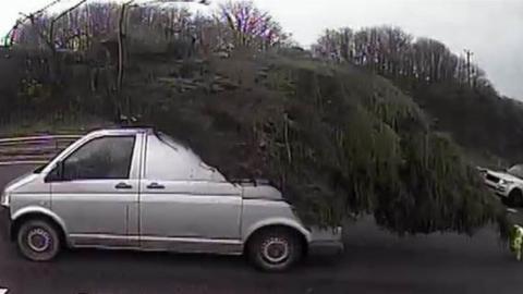 tree on van on A38