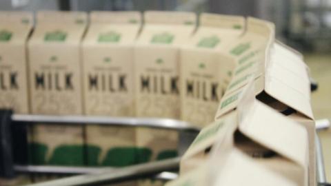 Jersey Dairy 2.5% one-litre milk cartons
