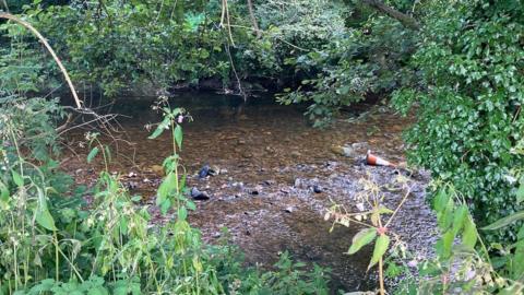 Afon Ogwr