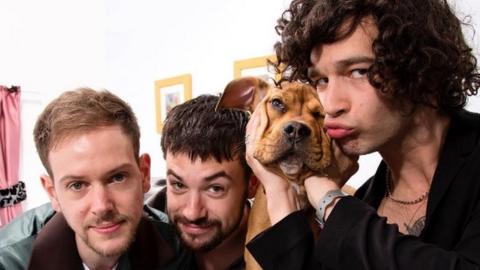 The 1975 with a dog