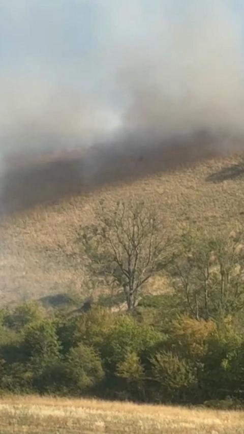 Smoke spread across yellow grass.