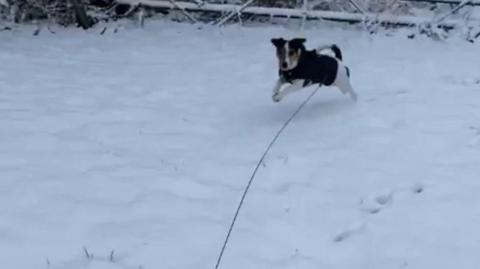 An Arctic blast has brought snow to much of Wales, with more forecast on Thursday.