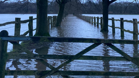 Flooded areas caused by the River Bollin in Dunham Massey