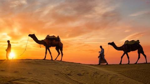 Desert Rajasthan