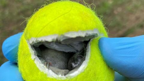 Tennis ball with drugs inside