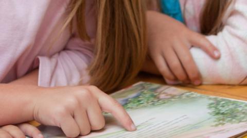 Schoolchildren looking at a book