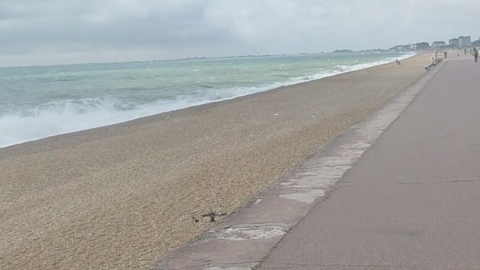 Seabrook beach, in Kent. There is a long stretch of sand in front of the sea with a path alongside. 