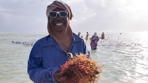 woman holding seaweed