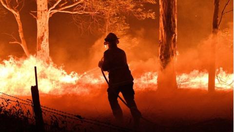 A firefighter hoses down trees and flying embers