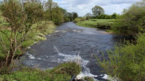 The River Ure near Leyburn