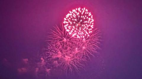 Pink fireworks explode in a night sky.