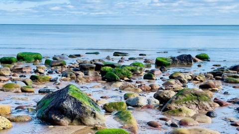 Rocks, some covered in moss, sit in shallow water, with blue sea behind blending on the horizon to light blue cloudy skies