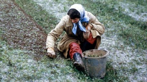 Hand weeding at Newton