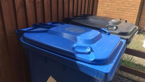 An image of the top of two wheelie bins