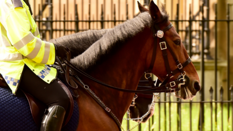 mounted police officer