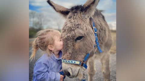 Amy's daughter with the donkey