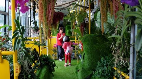 A passenger takes photos among live vegetation inside the "forest bus" in Taipei on May 26, 2017.