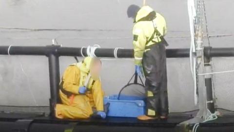 Two men in fluorescent safety gear stand on a platform at a fishing farm. One man on his knees swings a baton towards a fish he has pinned to the ground.
