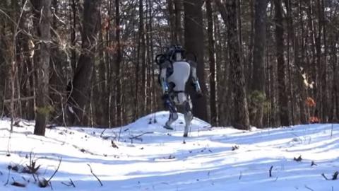 Atlas robot walking in the snow.