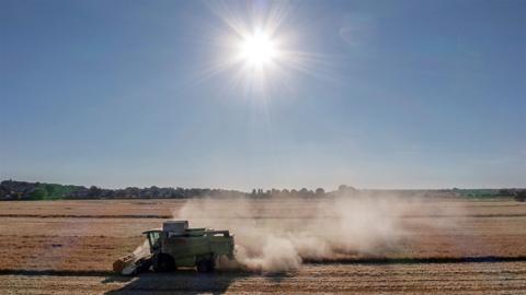 A combine harvest collects spring barley in a field near the village of Washingborough in the Lincolnshire, east of England, on August 11, 2022.