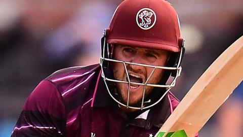 Steven Davies bats for Somerset