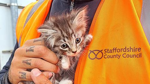 Sam Ward, pictured with one of the kittens