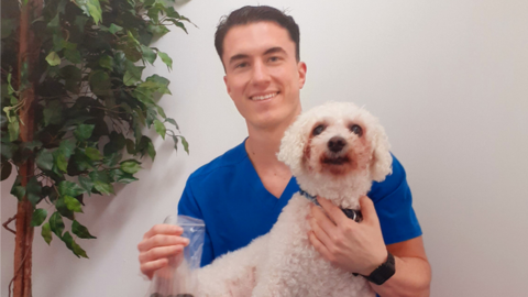 Man in a blue veterinary uniform, he is smiling and holding a dog