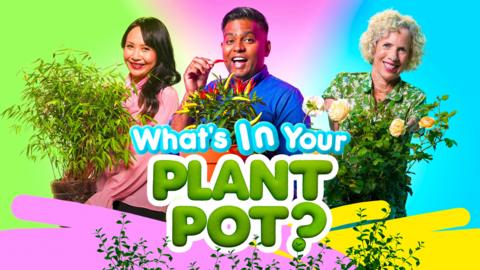 What's In Your Plant Pot?
