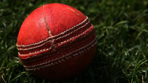 Cricket ball