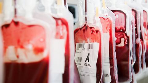 Blood stored at a blood donation clinic